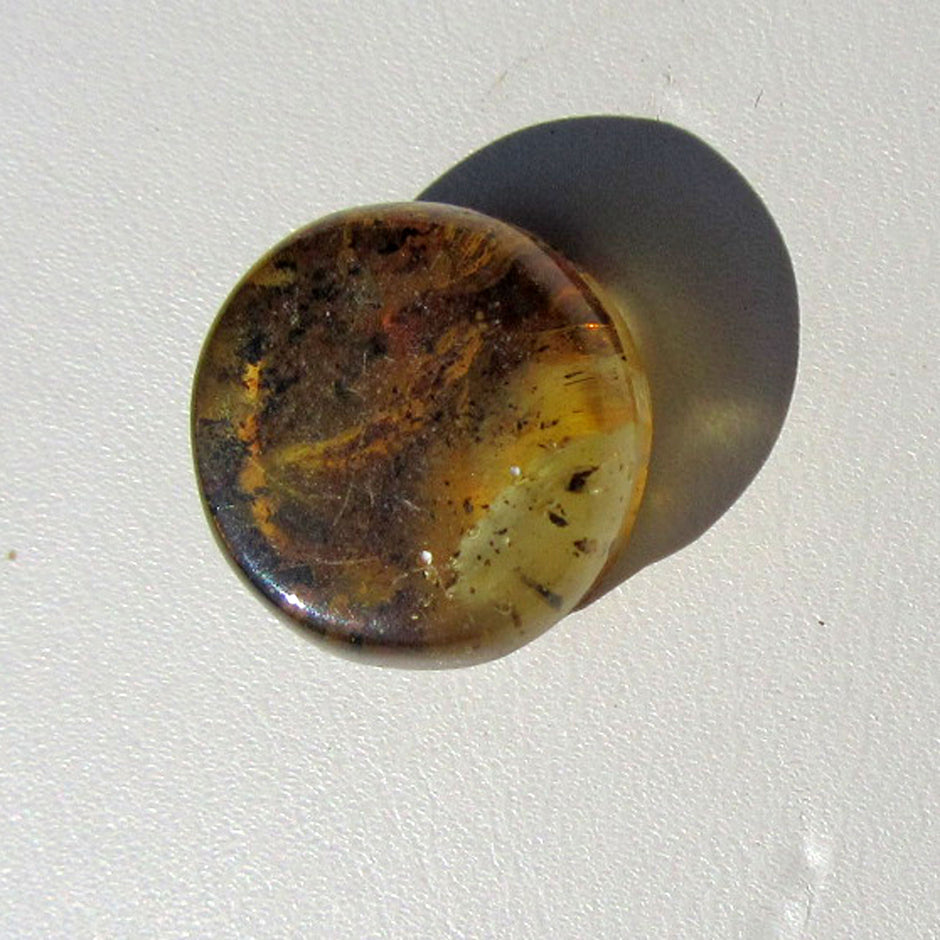 Einzigartiger Bernsteinplug fürs Ohr, handgeschliffen