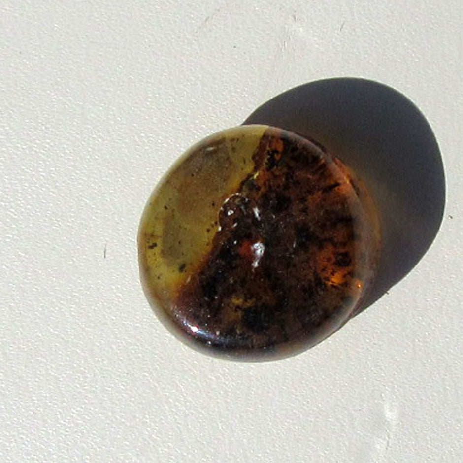 Einzigartiger Bernsteinplug fürs Ohr, handgeschliffen