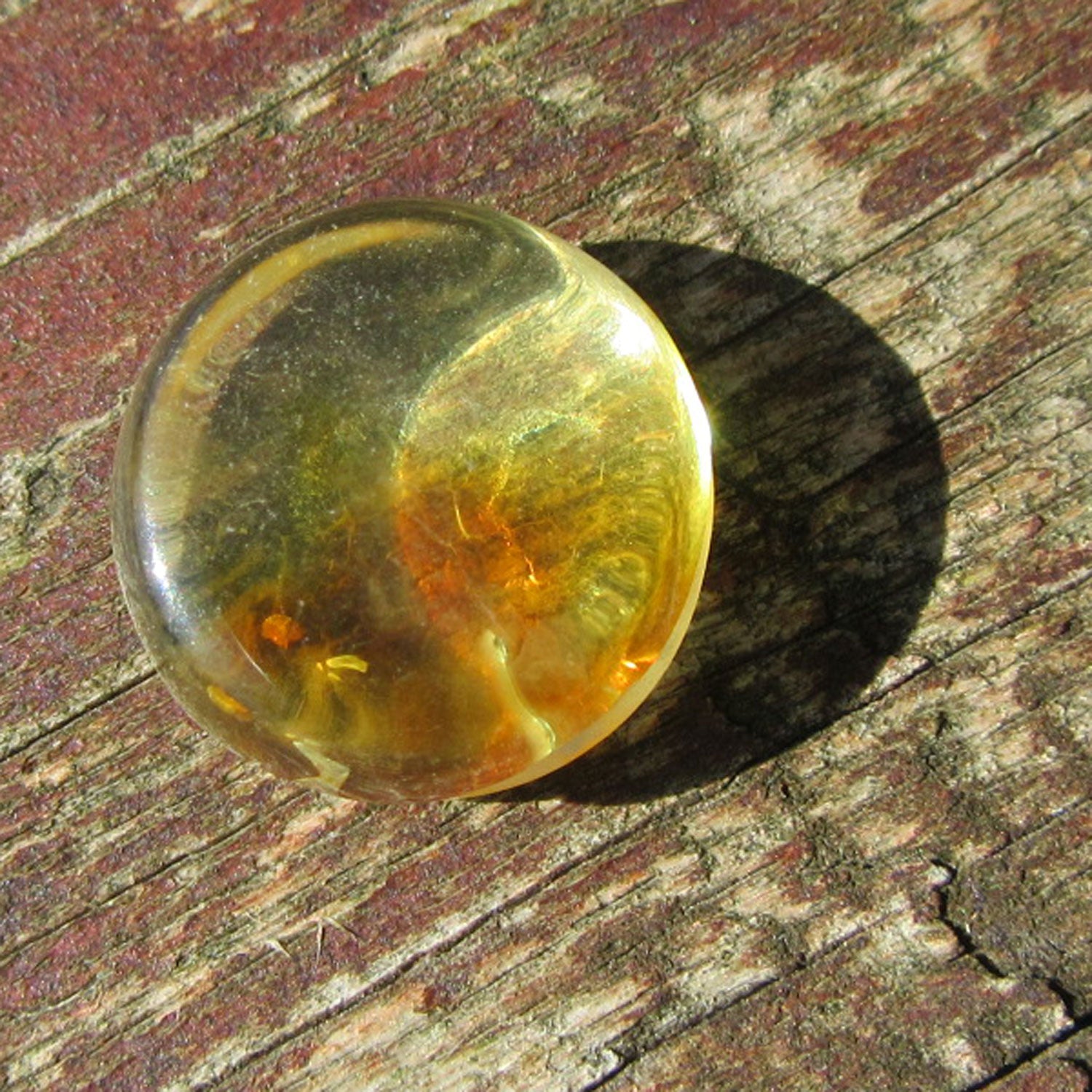 Sonnengelber Bernsteinplug fürs Ohr, geschliffen, Unikat