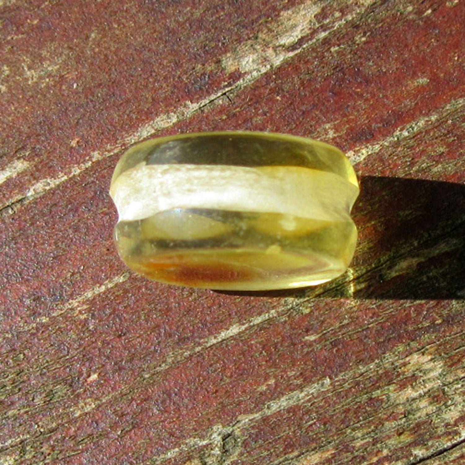 Sonnengelber Bernsteinplug fürs Ohr, geschliffen, Unikat