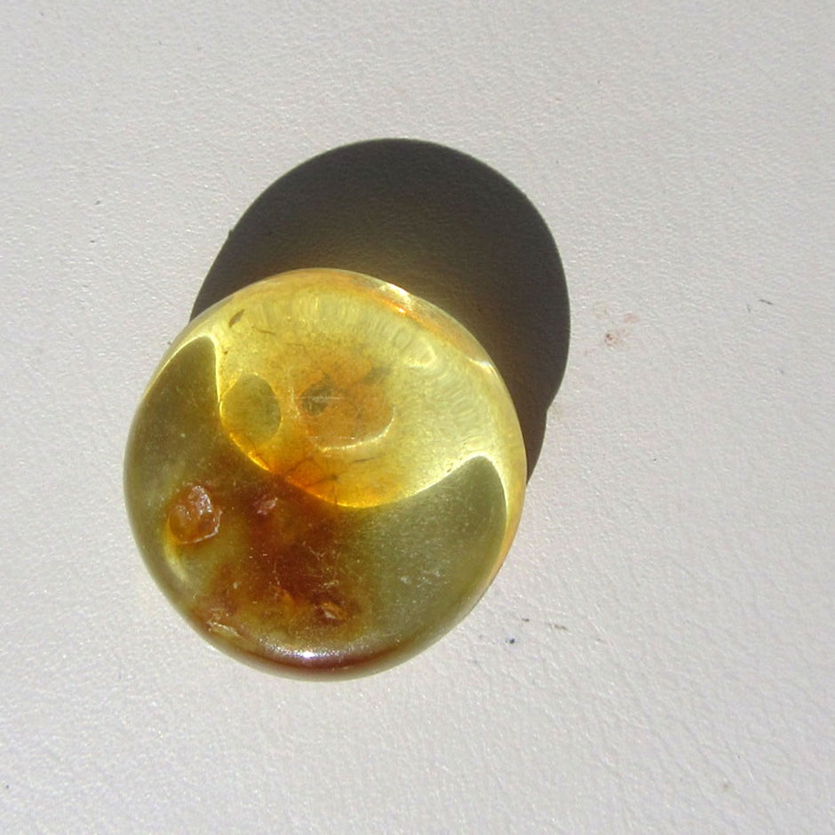 Sonnengelber Bernsteinplug fürs Ohr, geschliffen, Unikat
