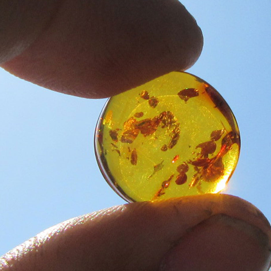 Kognacfarbener Bernsteinplug fürs Ohr, Unikat von Rügen