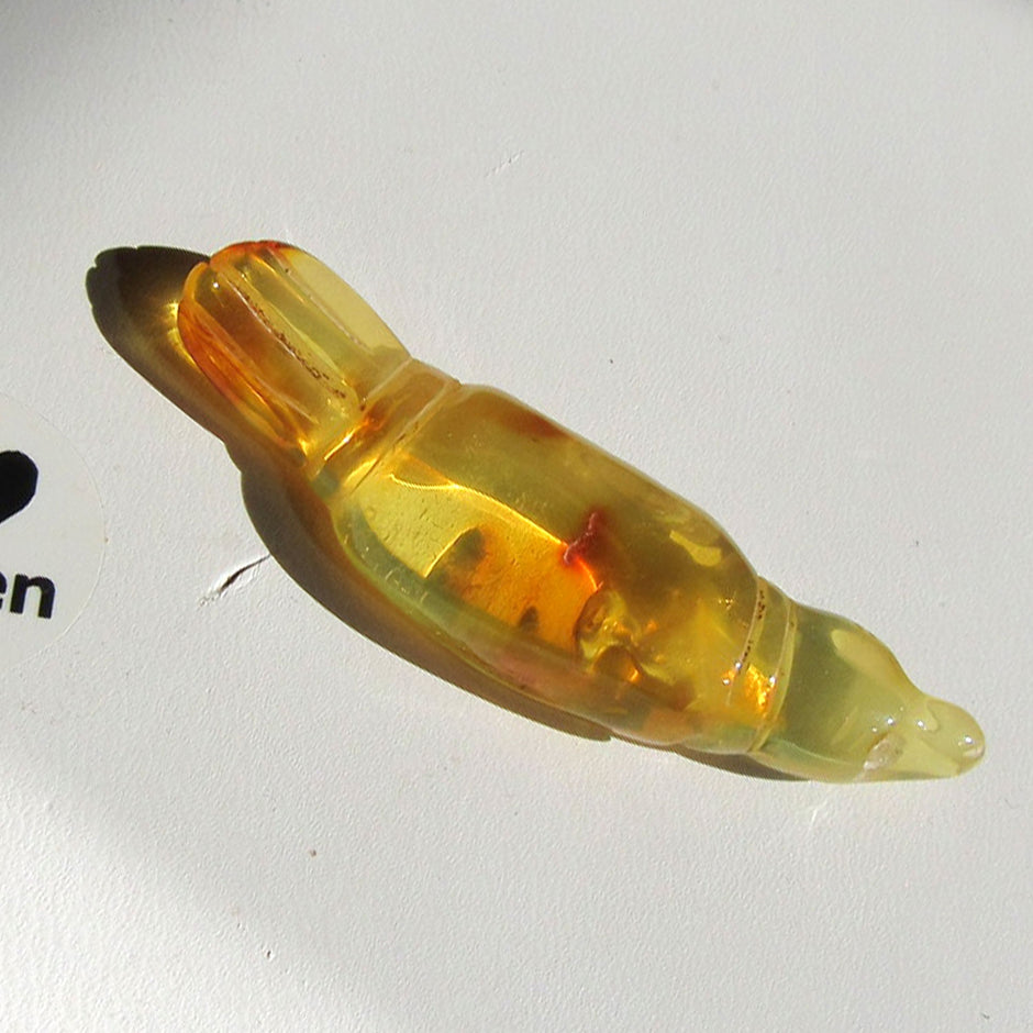 Seehund aus klarem Bernstein – maritimes Einzelstück