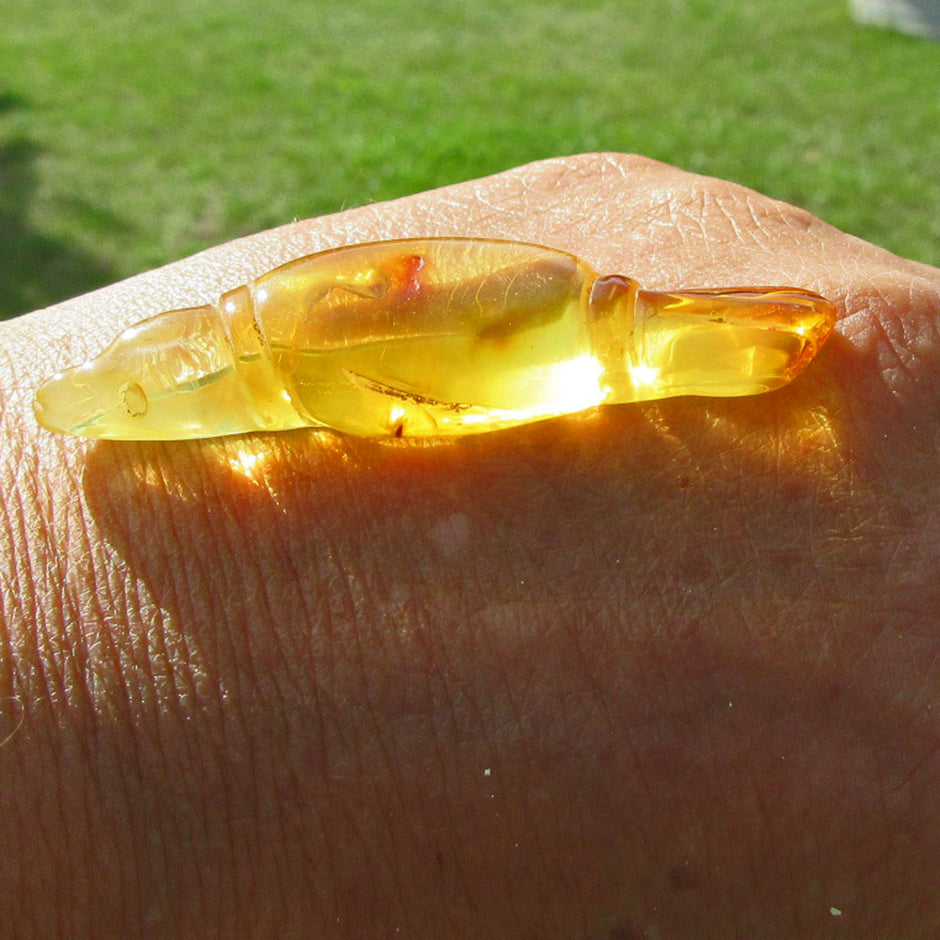 Seehund aus klarem Bernstein – maritimes Einzelstück