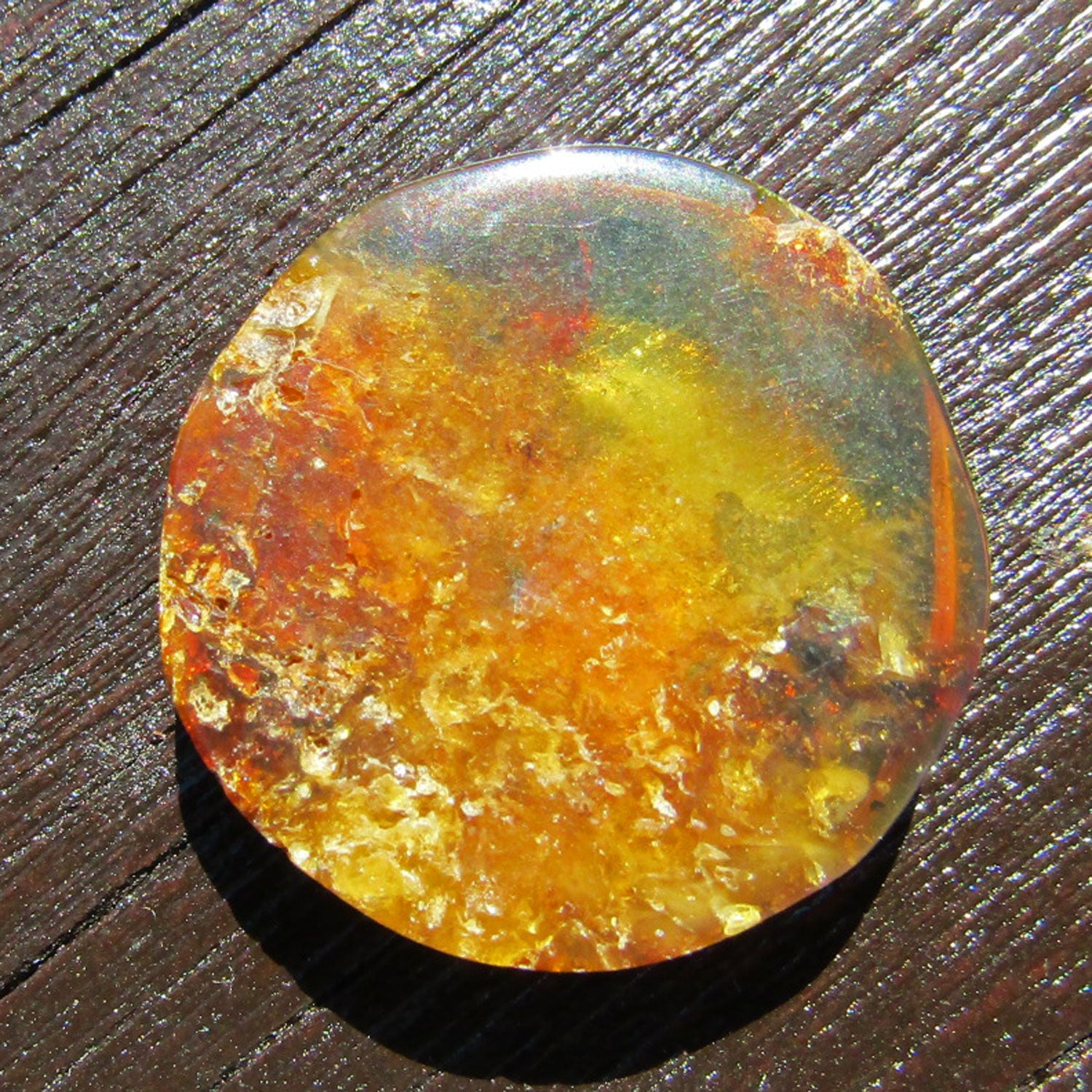 Bernsteinplug aus einem Stück geschliffen, Unikat