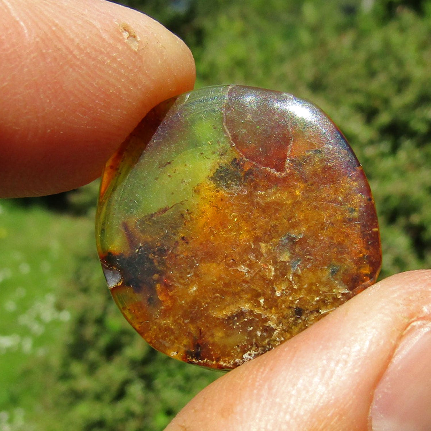 Bernsteinplug aus einem Stück geschliffen, Unikat