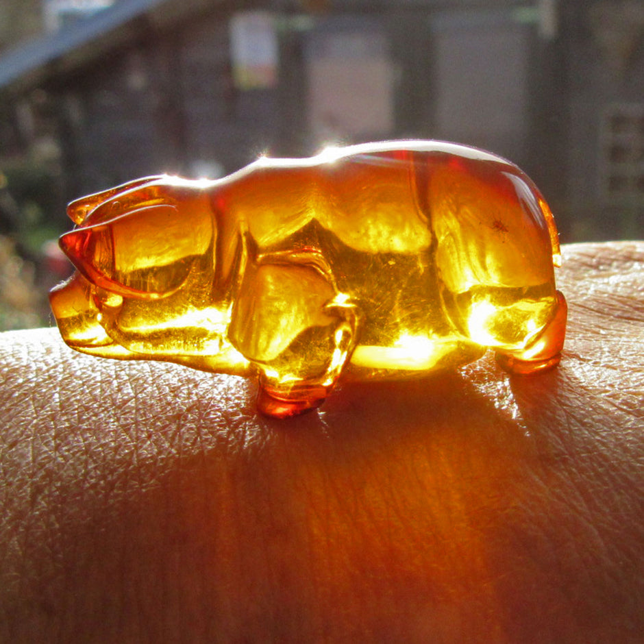 Feines Glücksschweinchen aus goldgelbem Bernstein – liebevoll handgeschliffen