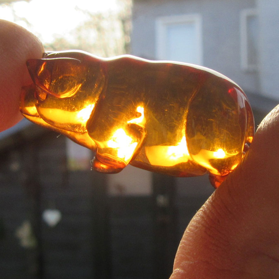 Feines Glücksschweinchen aus goldgelbem Bernstein – liebevoll handgeschliffen