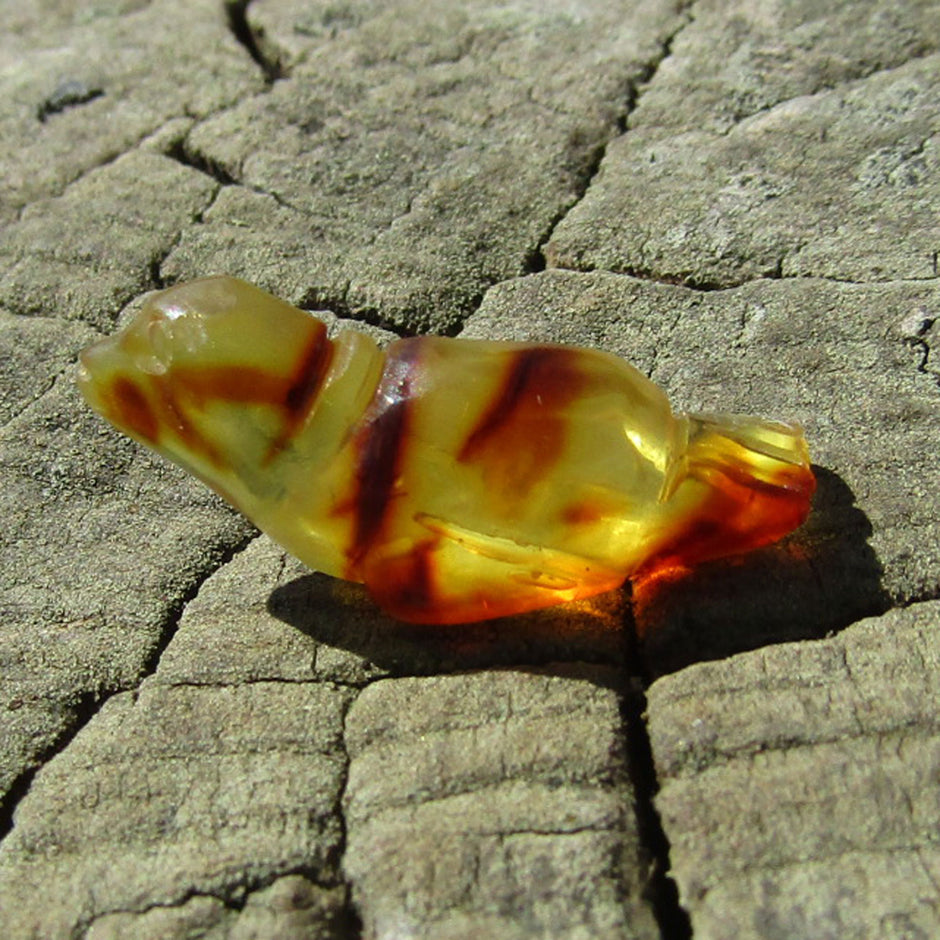 Seehund aus hellem Bernstein auf dunklem Sockel