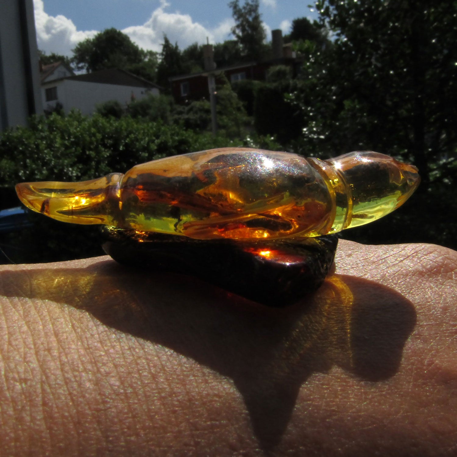 Edel Bernsteinseehund auf dunklem Sockel – Unikat