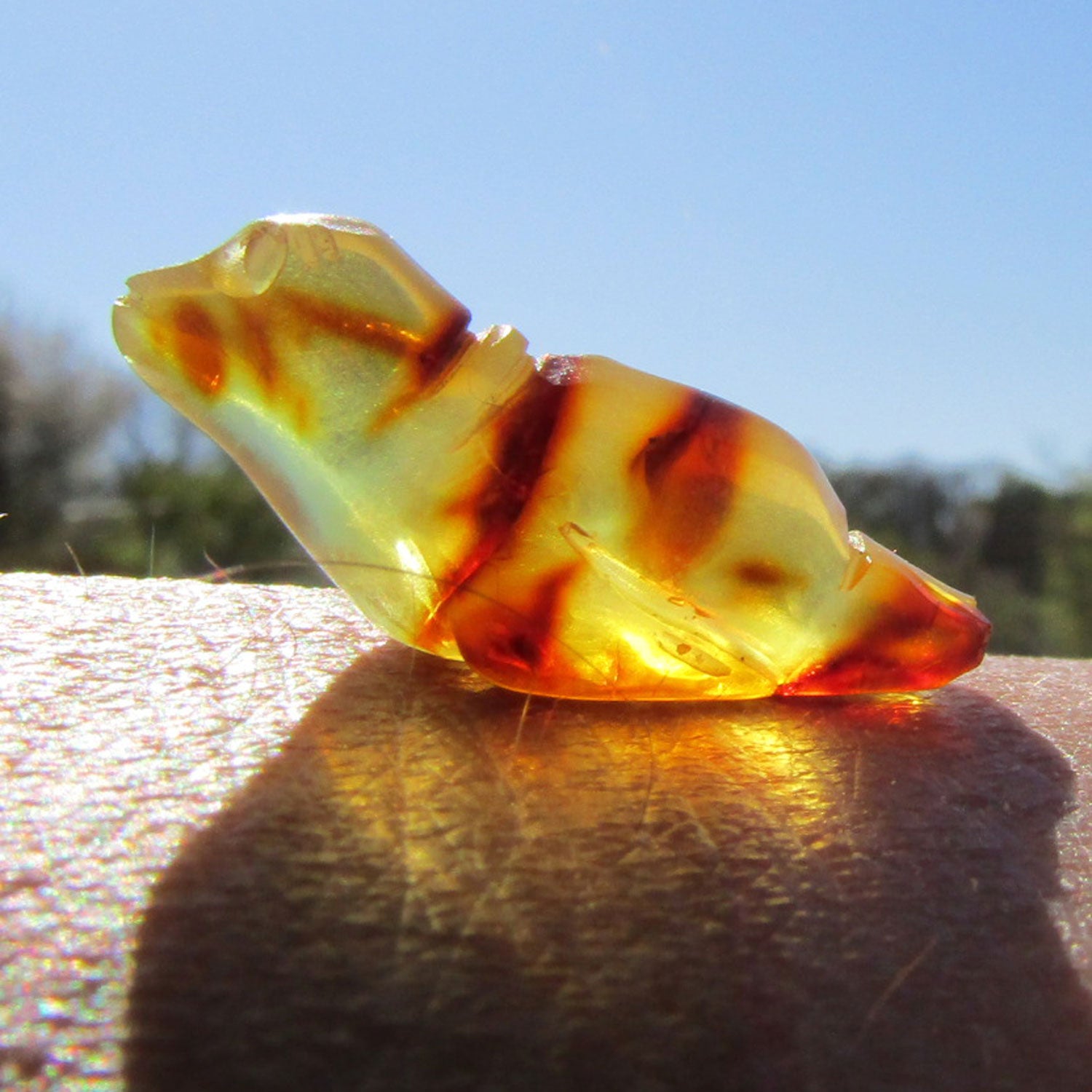 Seehund aus hellem Bernstein auf dunklem Sockel