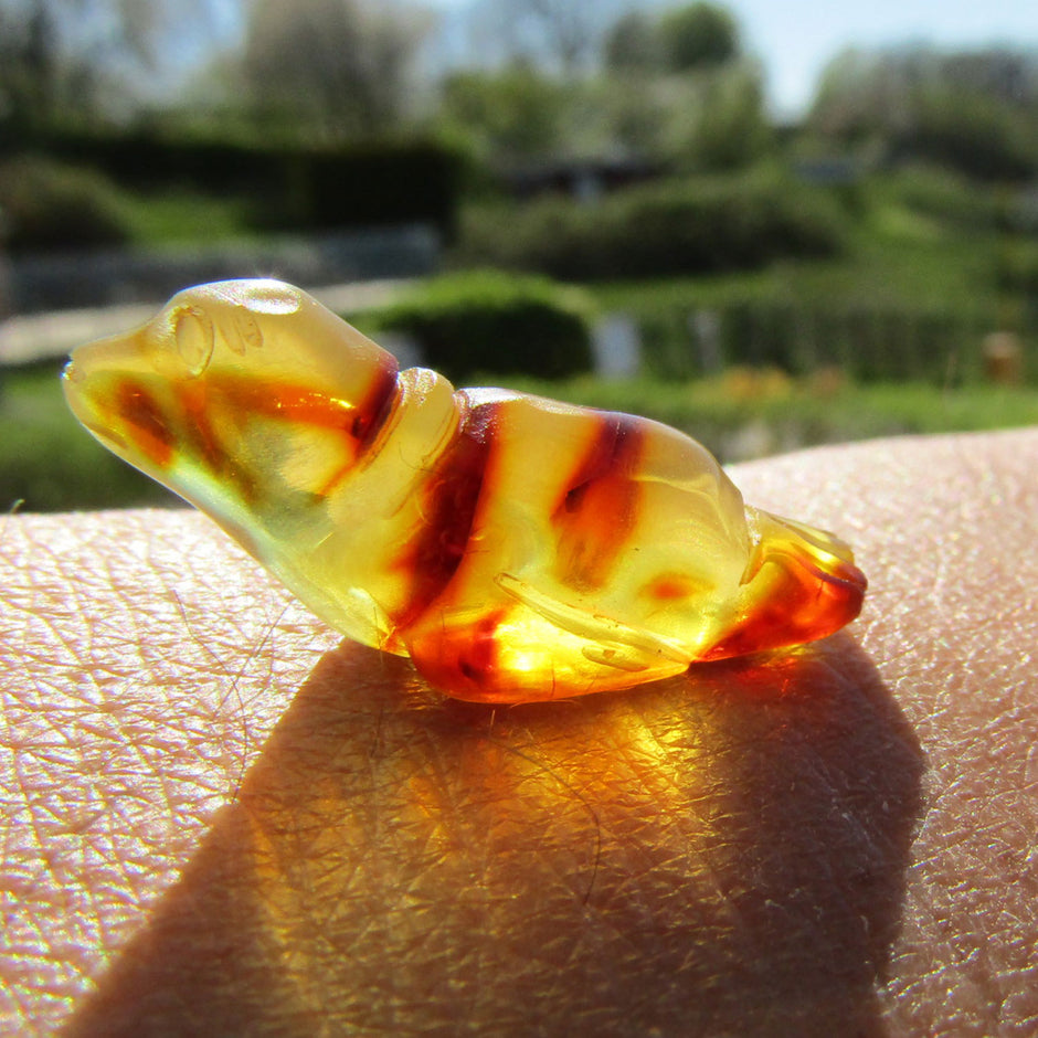 Seehund aus hellem Bernstein auf dunklem Sockel