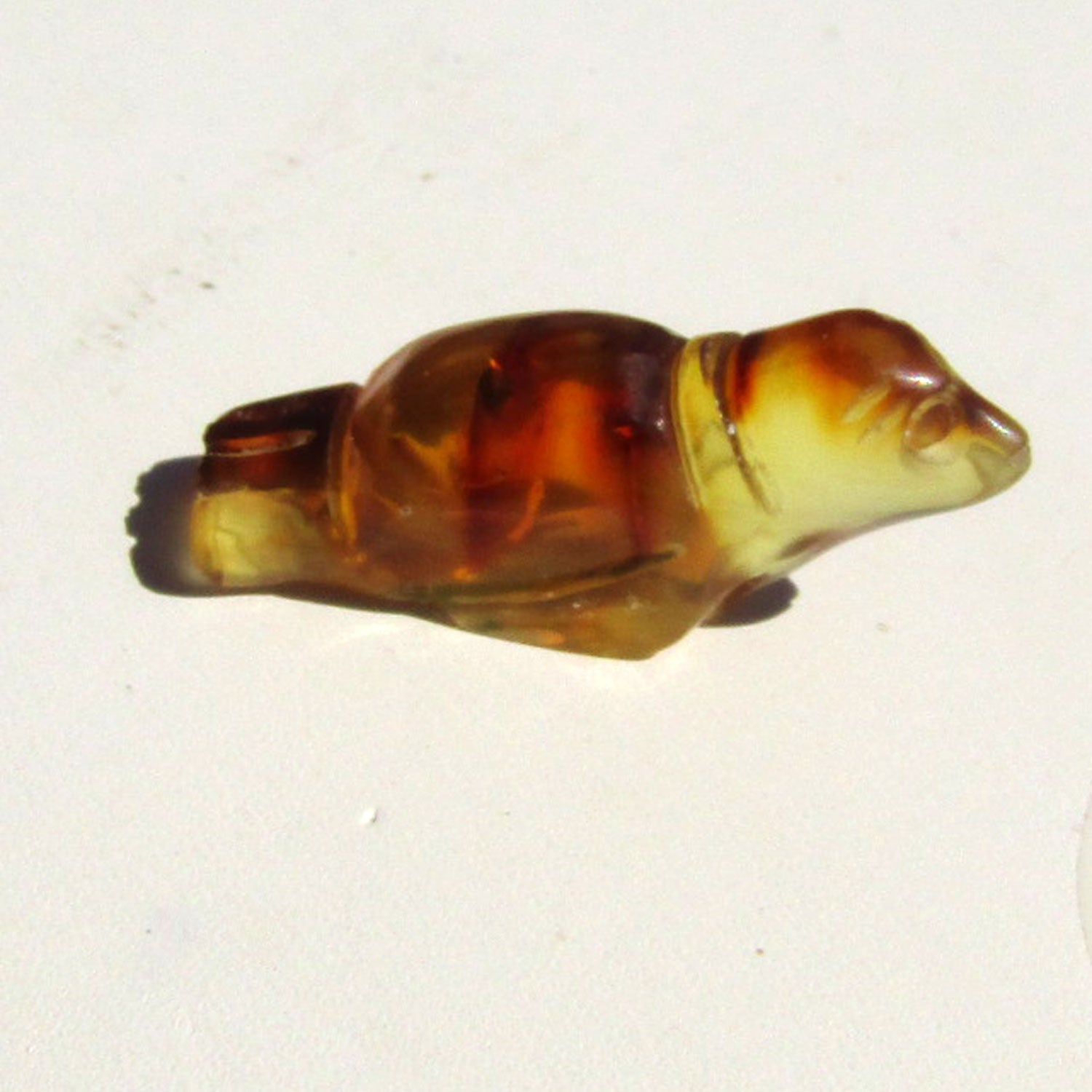 Seehund aus hellem Bernstein auf dunklem Sockel