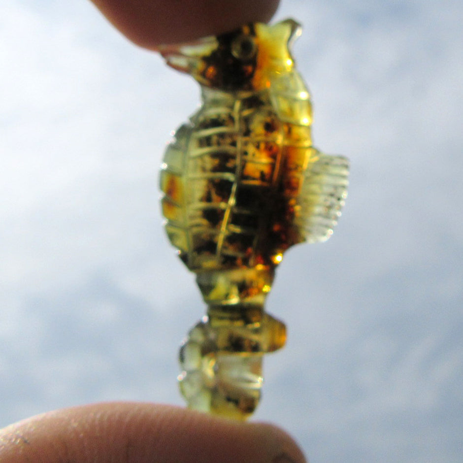 Seepferdchen aus Bernstein, gescheckt, Unikat von Rügen