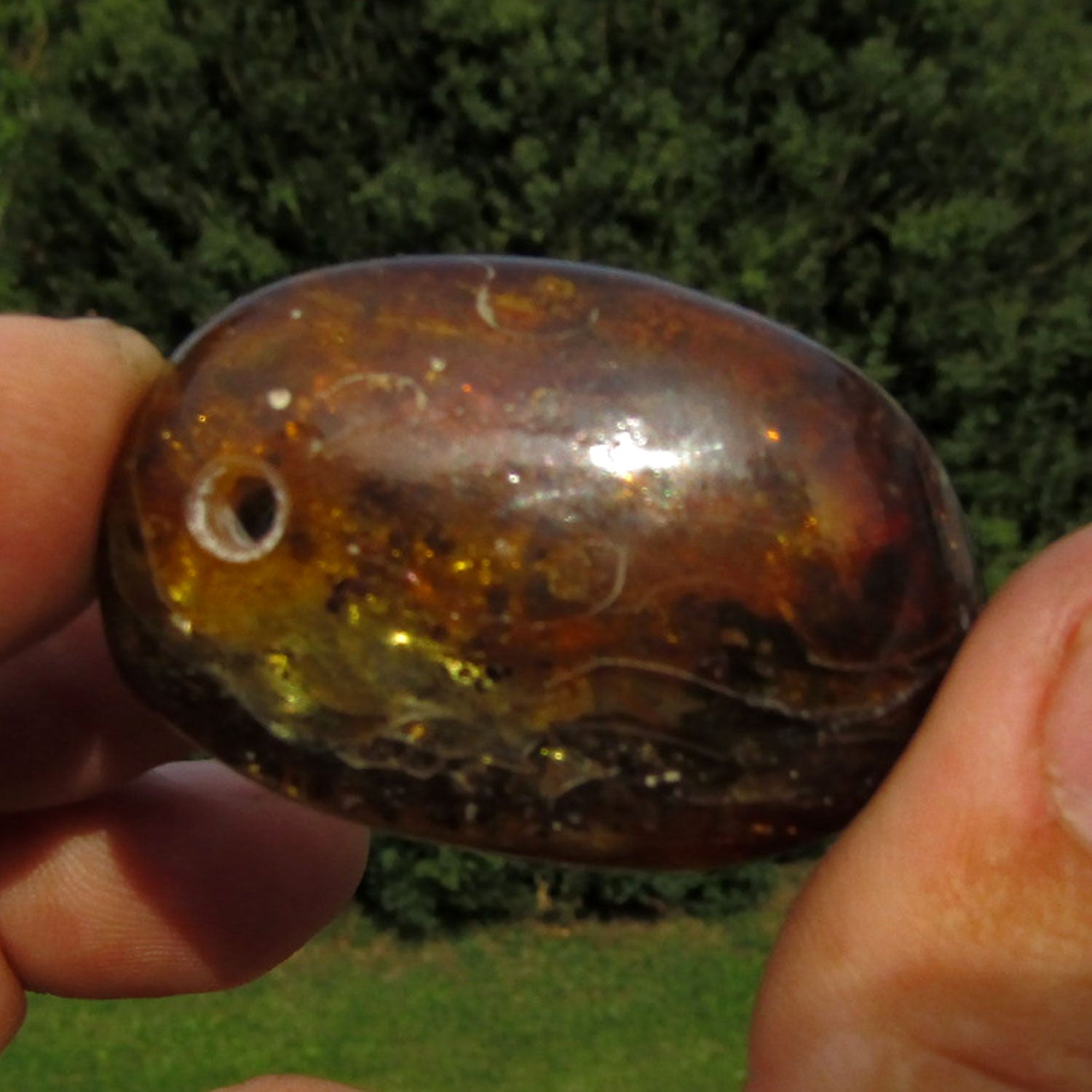 Einzigartiges, gebohrtes Bernsteinstück von Rügen