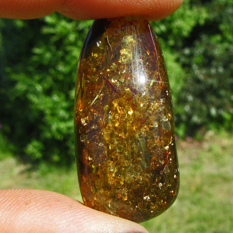 Dunkles Bernsteinstück, poliert und unpoliert, Einzelstück