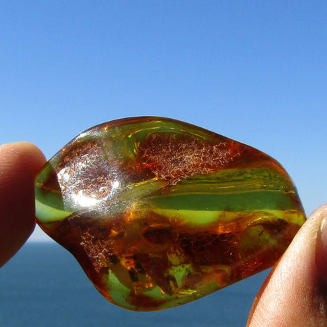 Naturgeformtes Bernsteinstück von der Ostsee-Insel Rügen