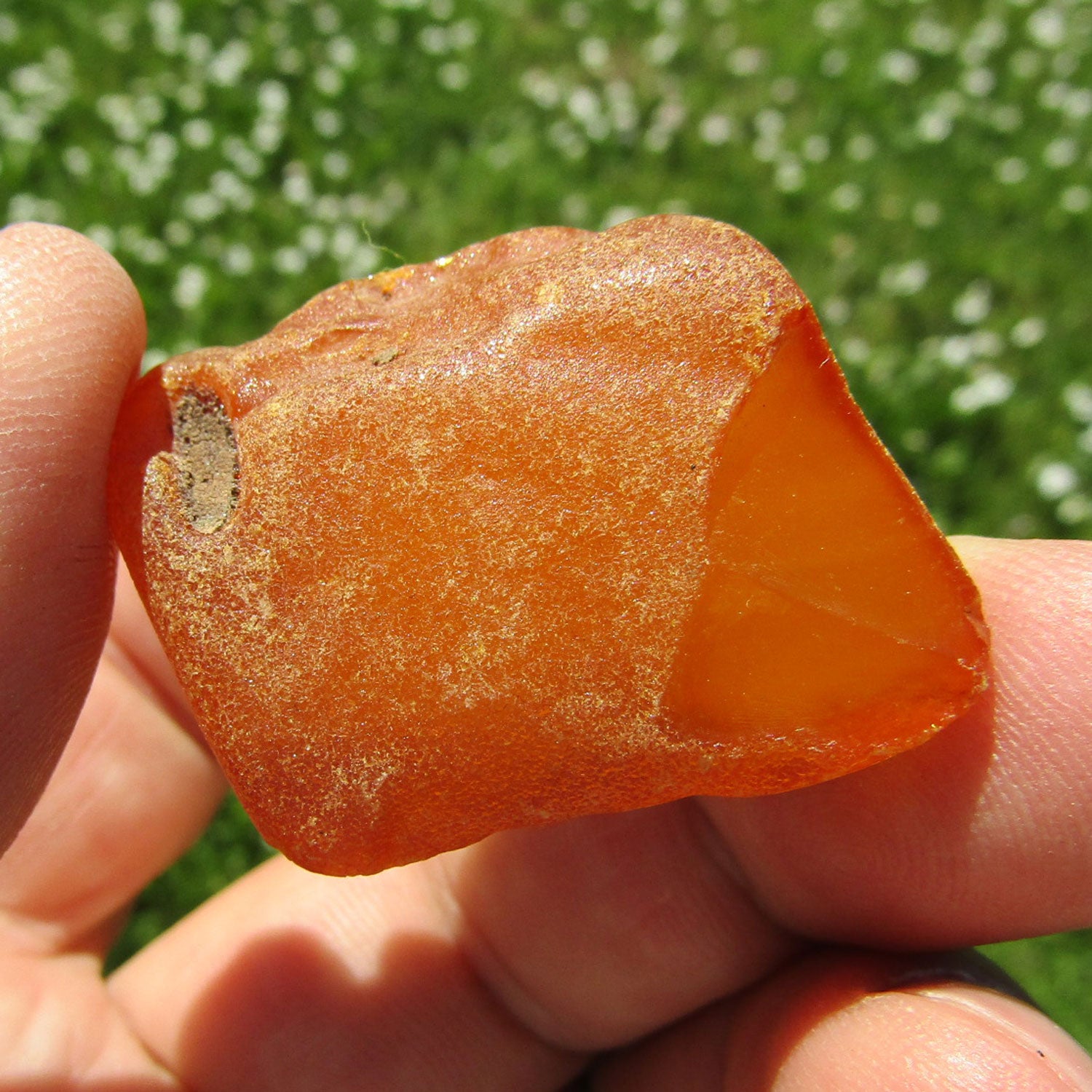 Ungepoliertes Bernsteinstück von der Ostsee-Insel