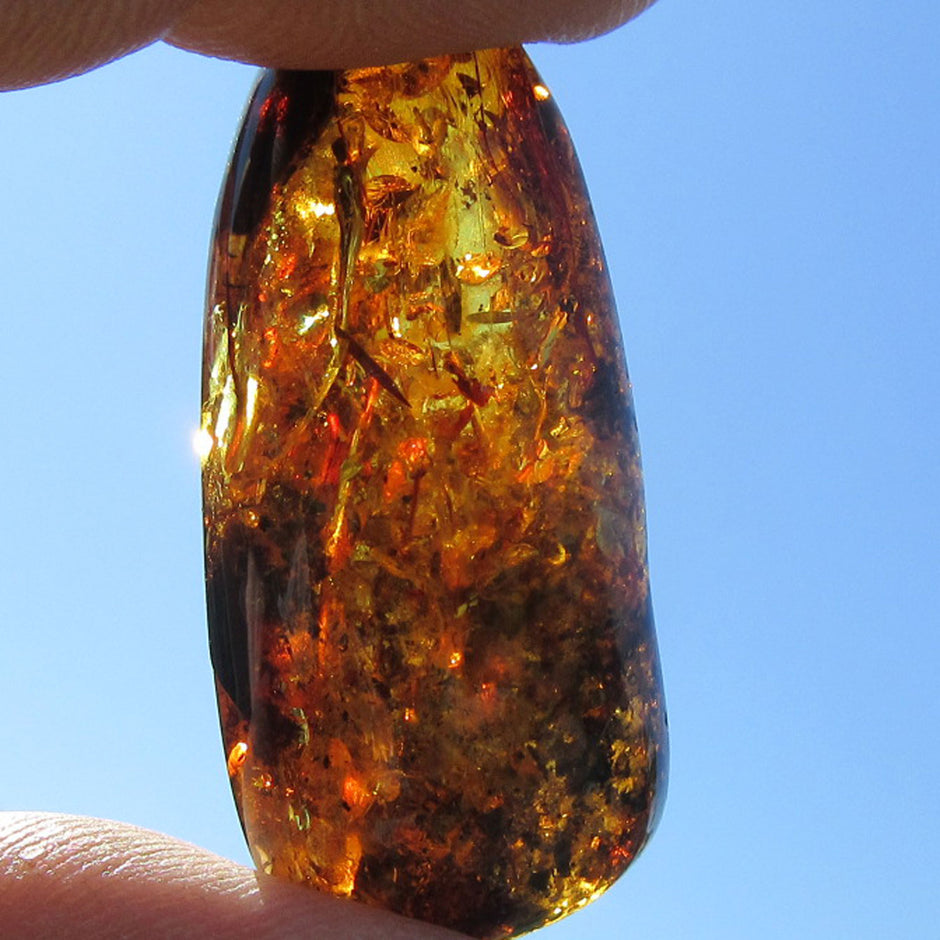 Dunkles Bernsteinstück, poliert und unpoliert, Einzelstück