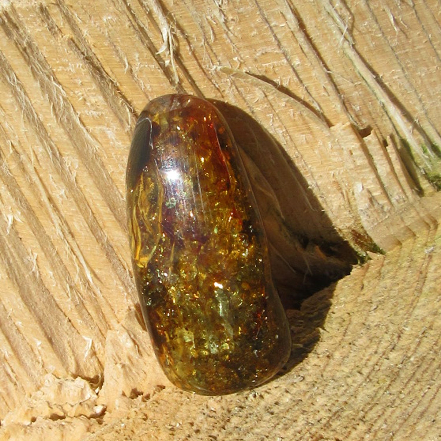 Dunkles Bernsteinstück, poliert und unpoliert, Einzelstück