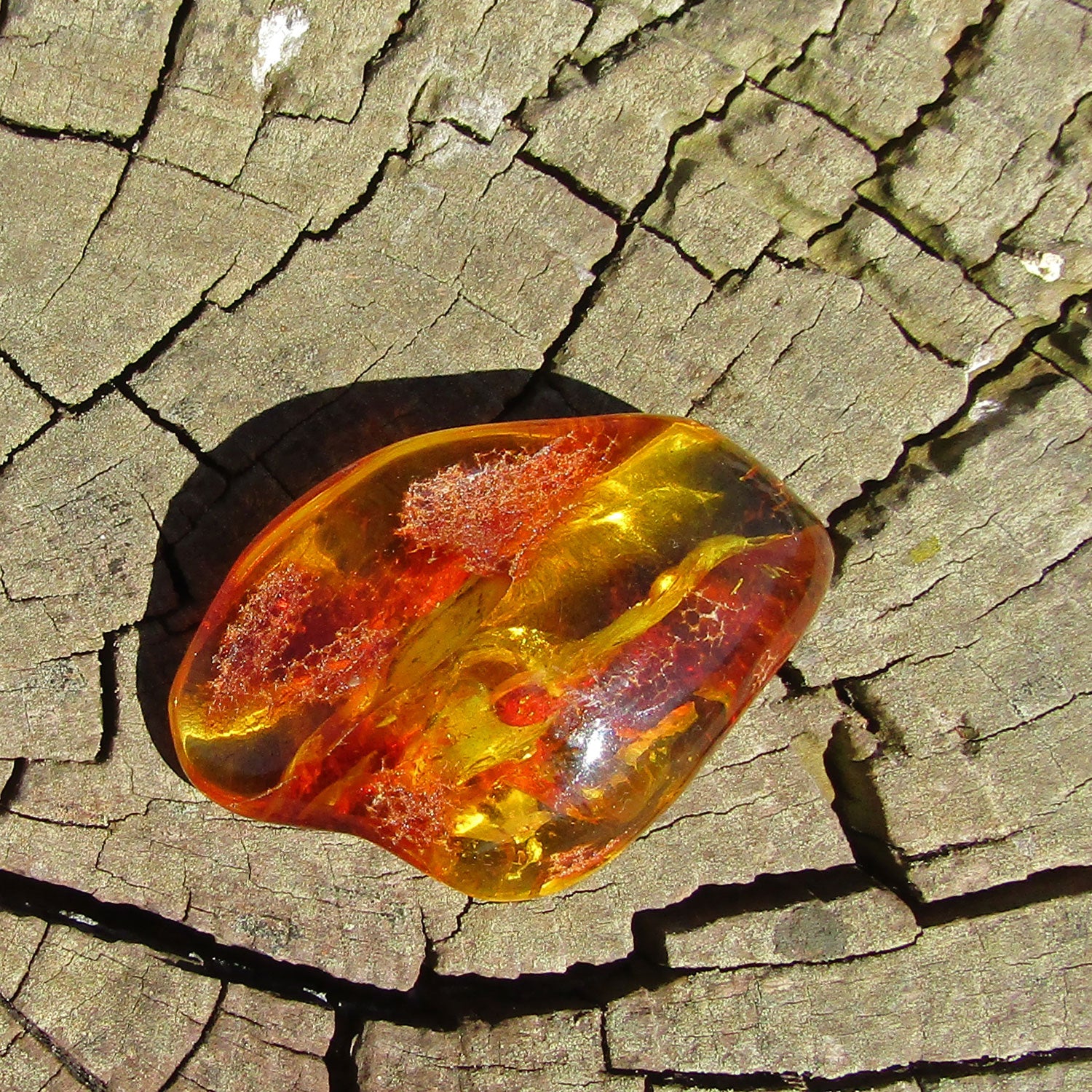 Naturgeformtes Bernsteinstück von der Ostsee-Insel Rügen