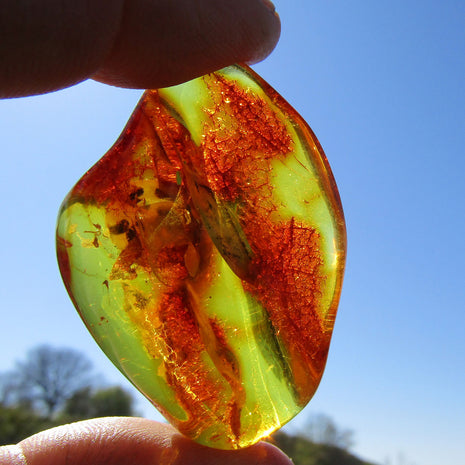 Naturgeformtes Bernsteinstück von der Ostsee-Insel Rügen