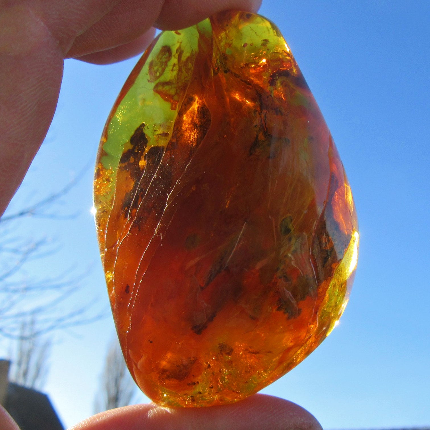 Wunderschönes Bernsteinstück poliert, mit Einschlüssen