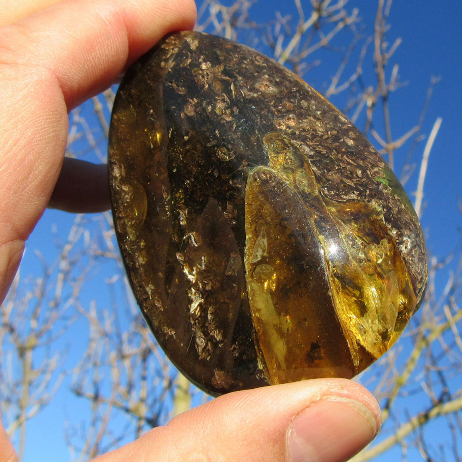 Riesiges, dunkles Stück Ostseebernstein, poliert