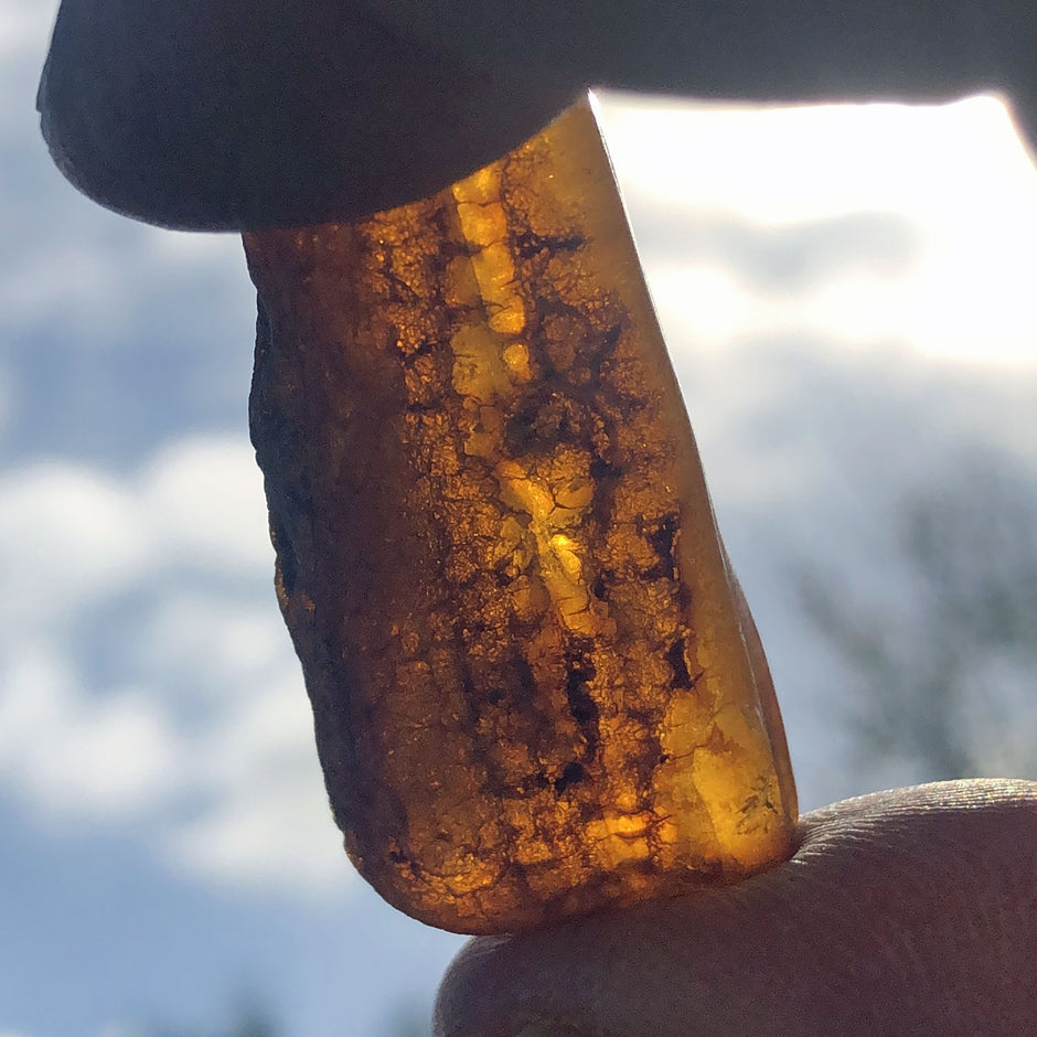 Einzelstück Bernstein unpoliert, wie am Strand gefunden