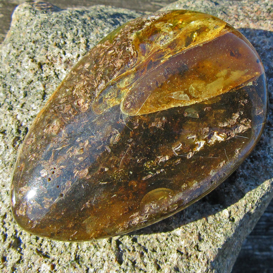 Riesiges, dunkles Stück Ostseebernstein, poliert