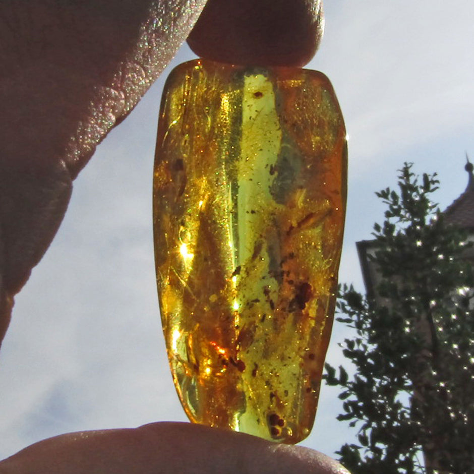 Klares Unikat aus Bernstein von der Ostsee-Insel Rügen