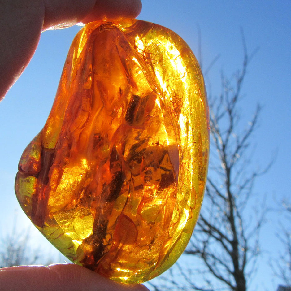 Riesiges , klares Stück BernsteinOstseebernstein poliert