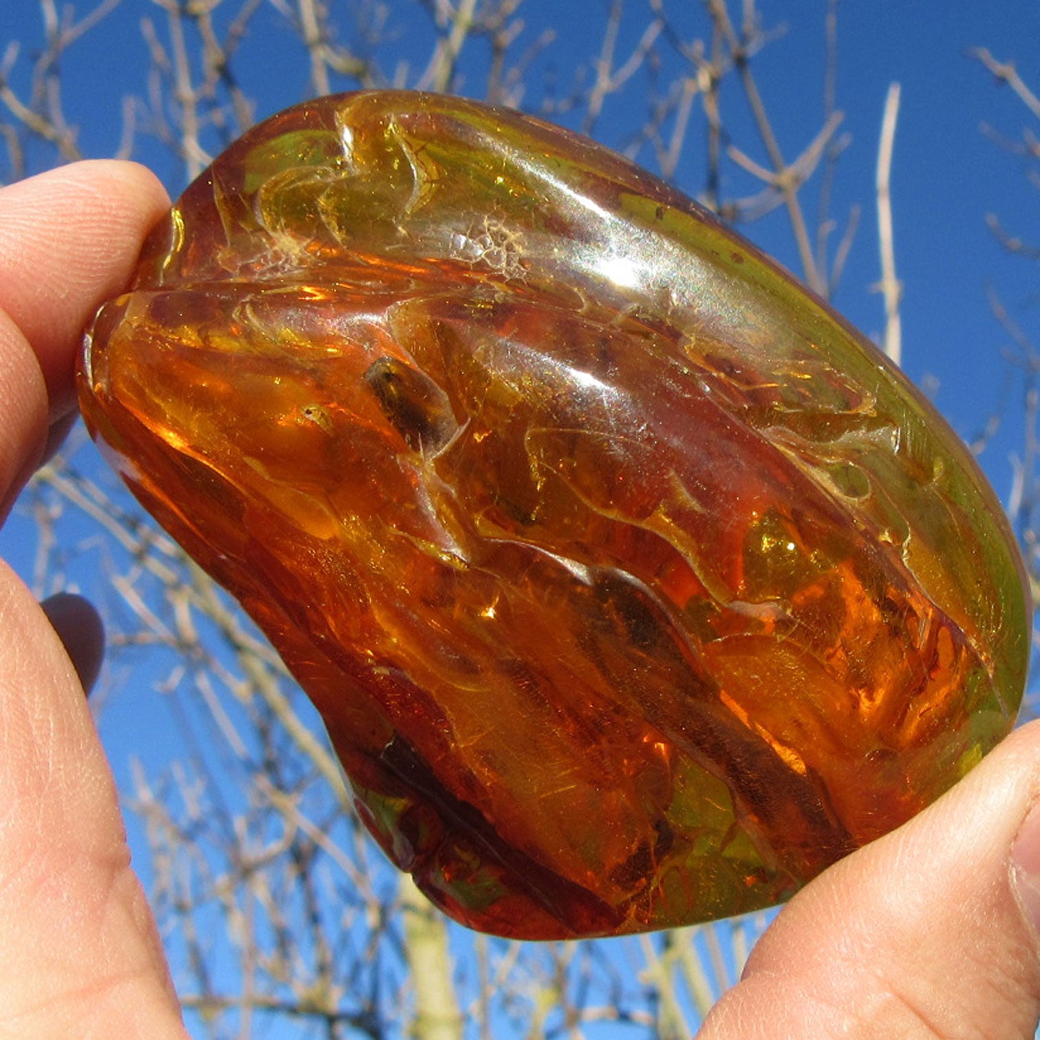 Riesiges , klares Stück BernsteinOstseebernstein poliert