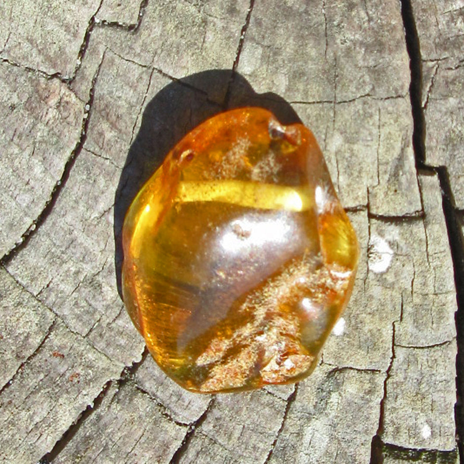 Poliertes Bernsteinstück von der Ostsee-Insel, Unikat