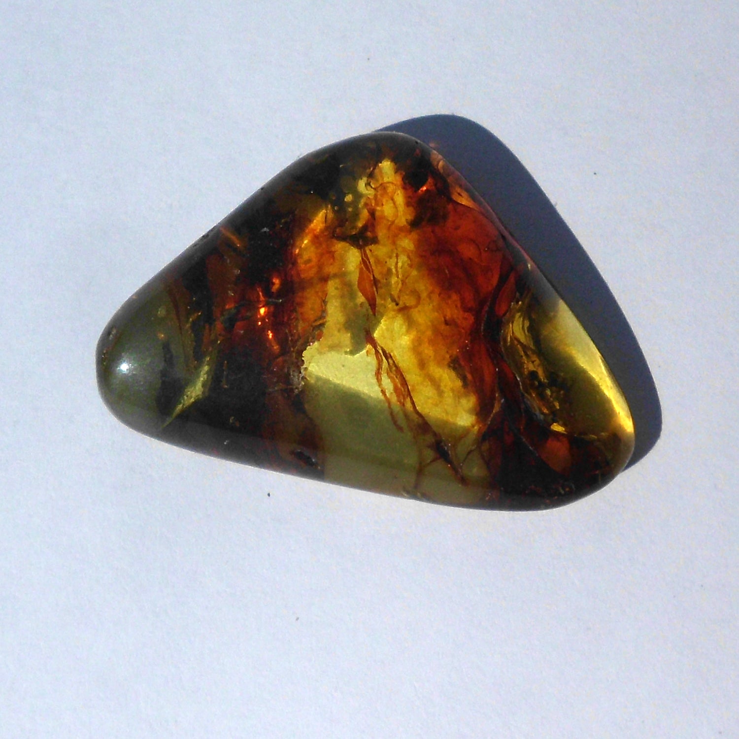 Einzigartiger, klarer Ostseebernstein – Unikat