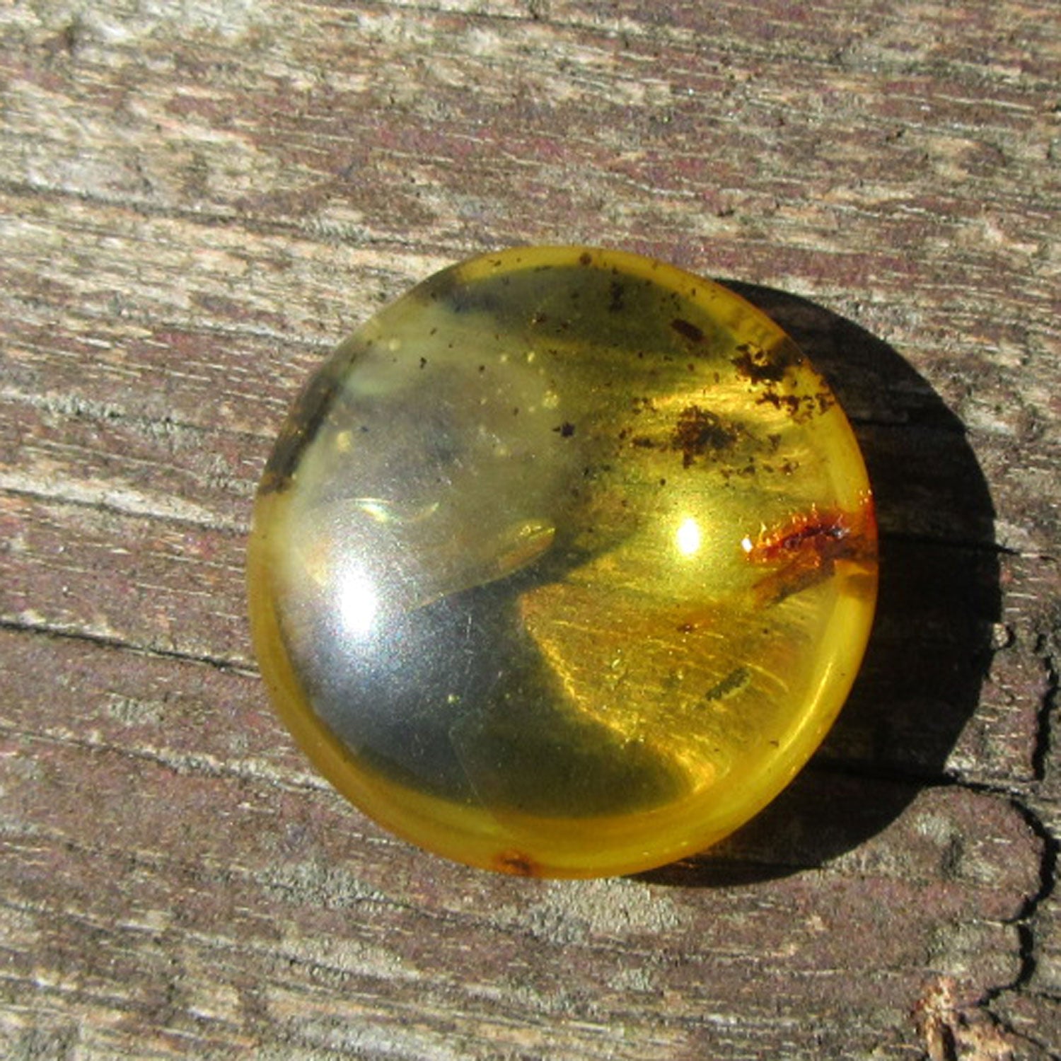 Einzelstück Bernsteinstück, poliert mit Einschlüssen