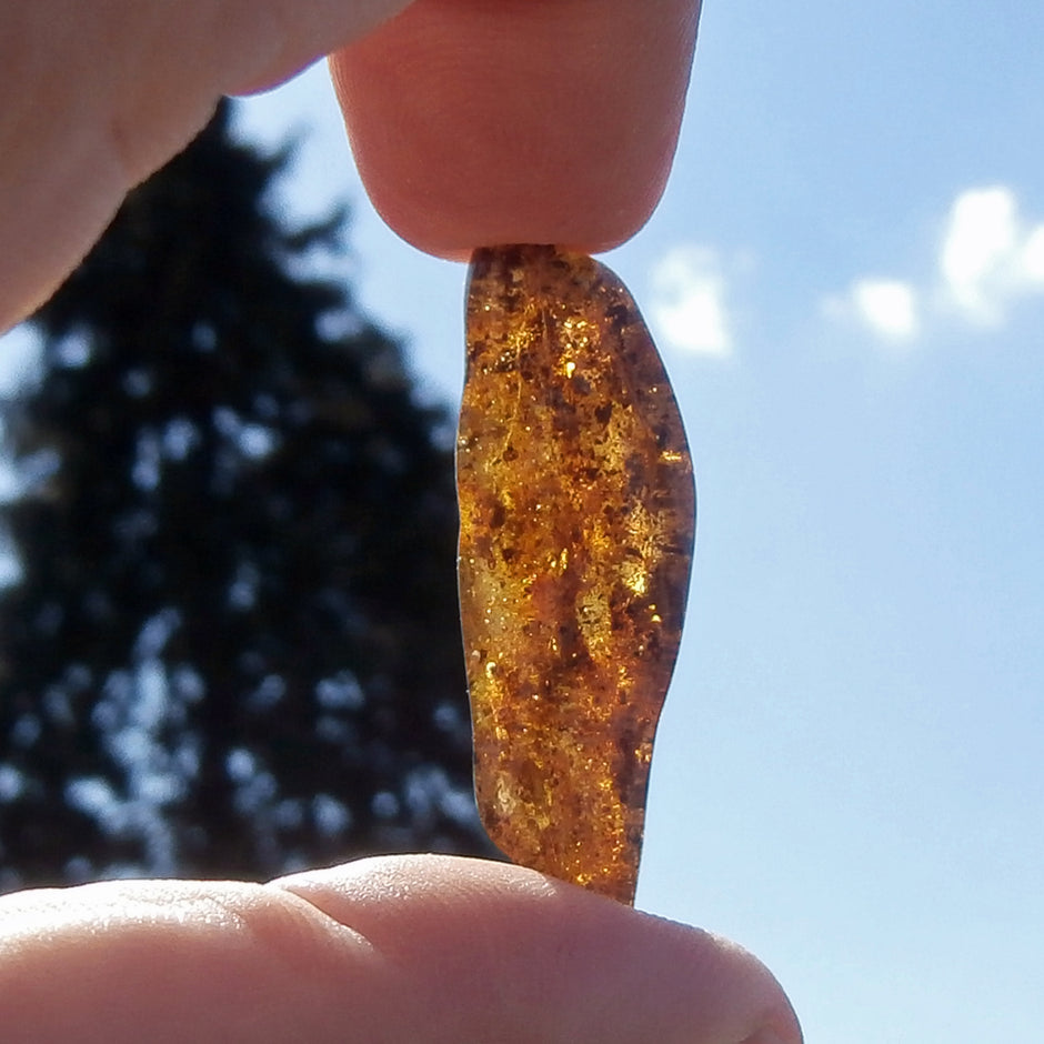 Poliertes Bernsteinstück, durchscheinend, 44 mm