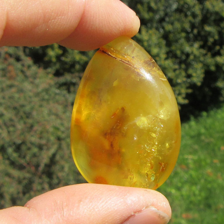 Poliertes Bernsteinstück von der Ostsee-Insel Rügen