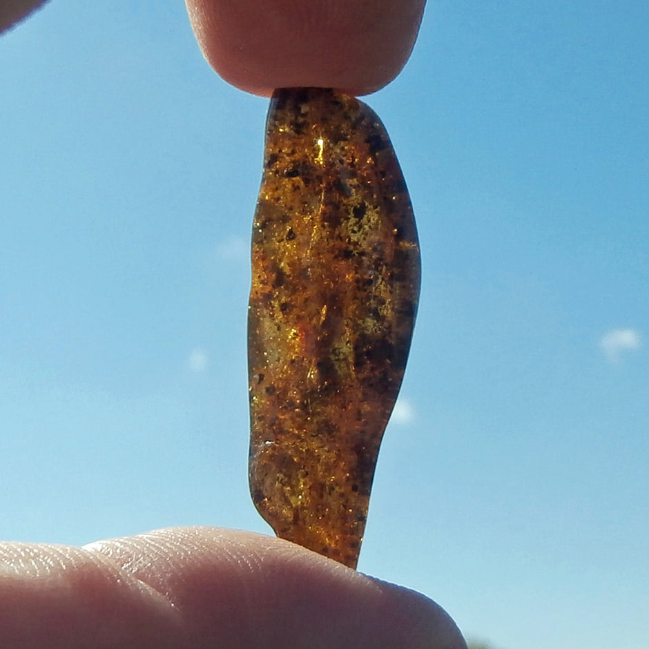 Poliertes Bernsteinstück, durchscheinend, 44 mm