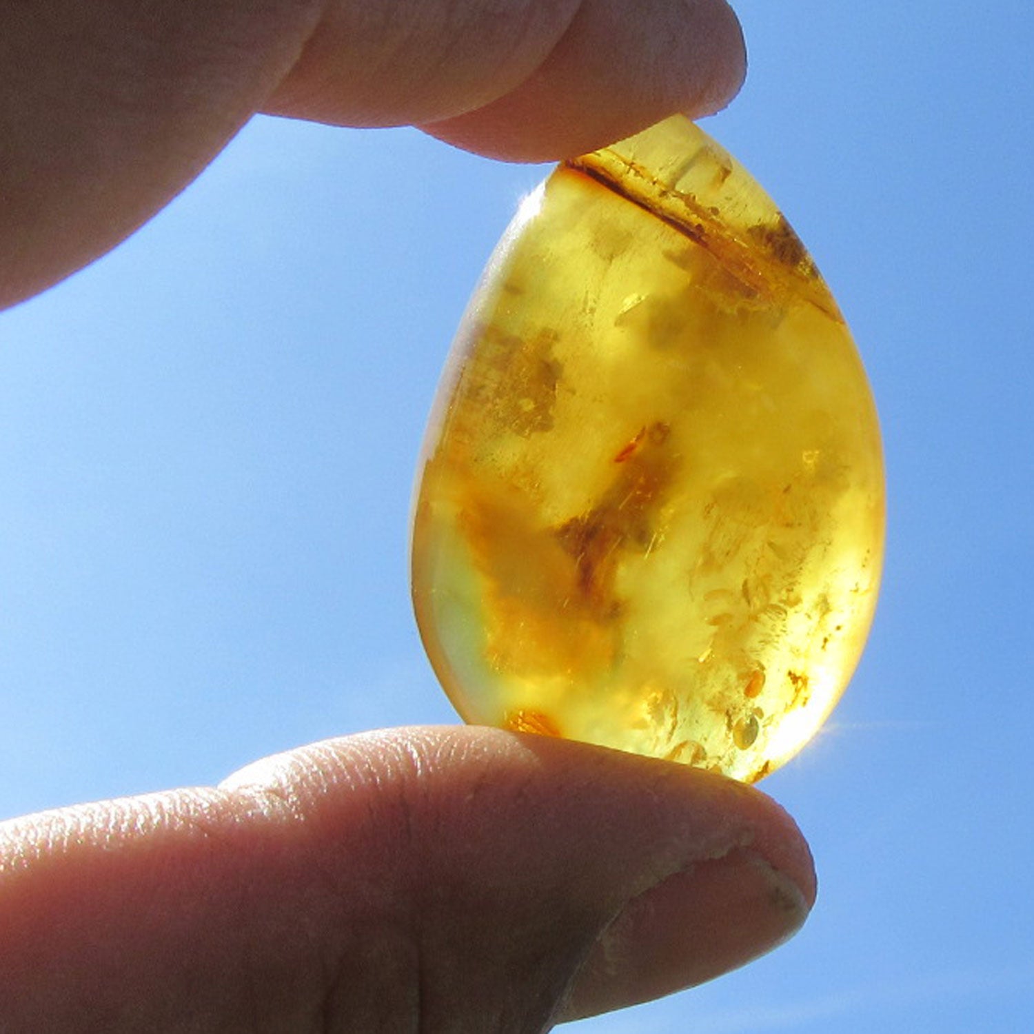 Poliertes Bernsteinstück von der Ostsee-Insel Rügen