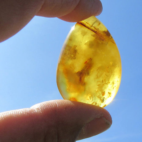 Poliertes Bernsteinstück von der Ostsee-Insel Rügen