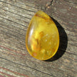 Poliertes Bernsteinstück von der Ostsee-Insel Rügen