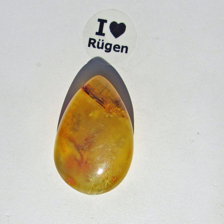 Poliertes Bernsteinstück von der Ostsee-Insel Rügen