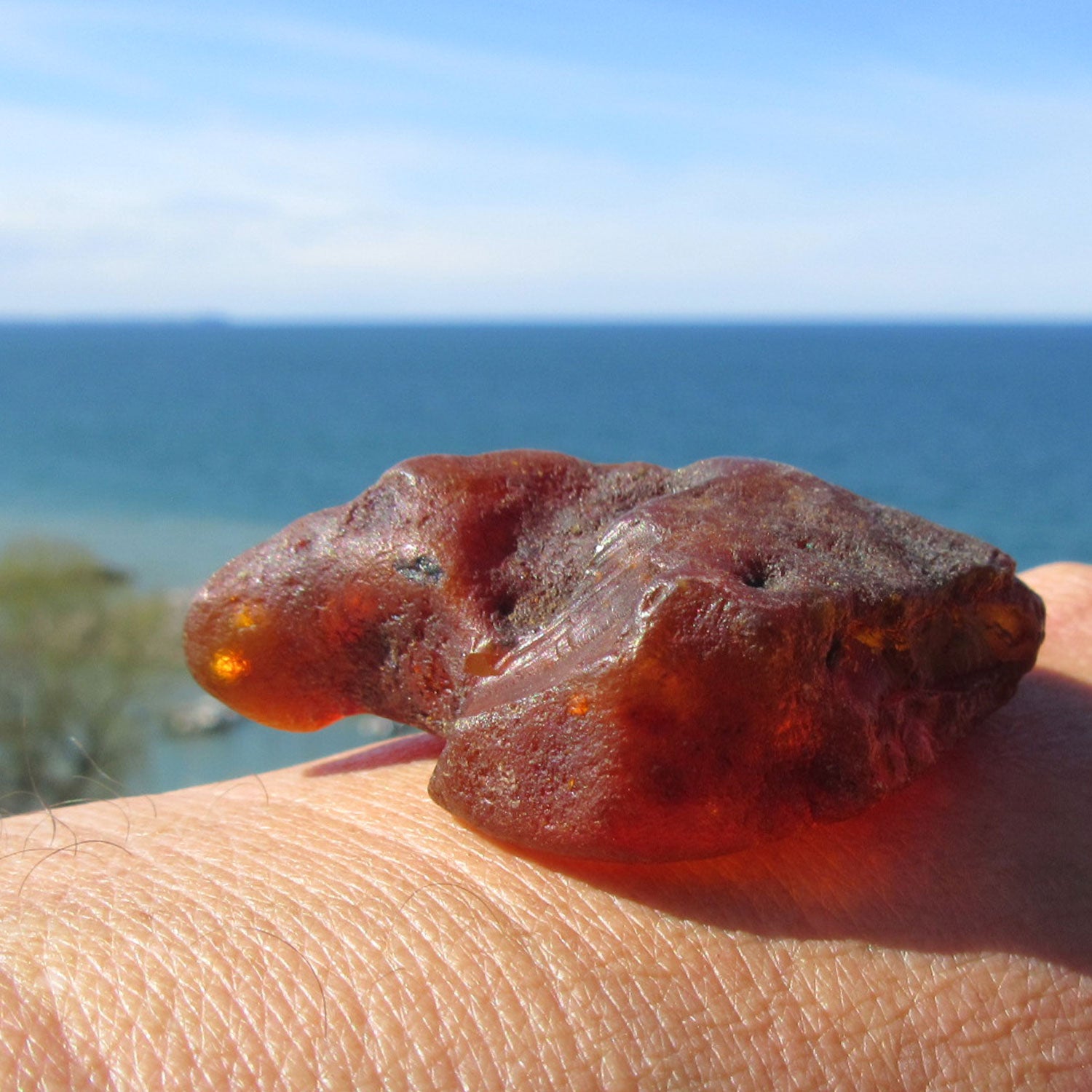 Dunkler Bernstein unpoliert, Naturstück von Hiddensee