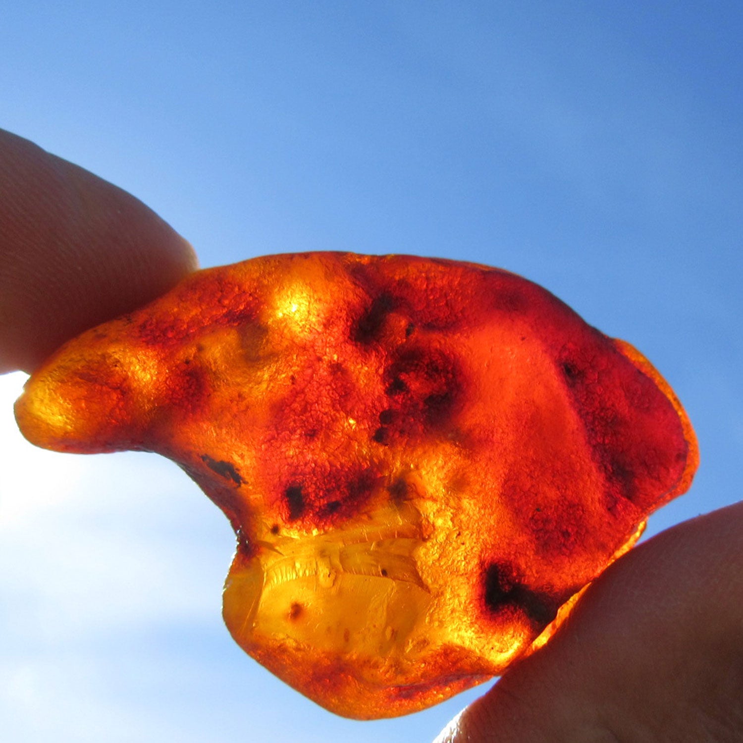 Dunkler Bernstein unpoliert, Naturstück von Hiddensee