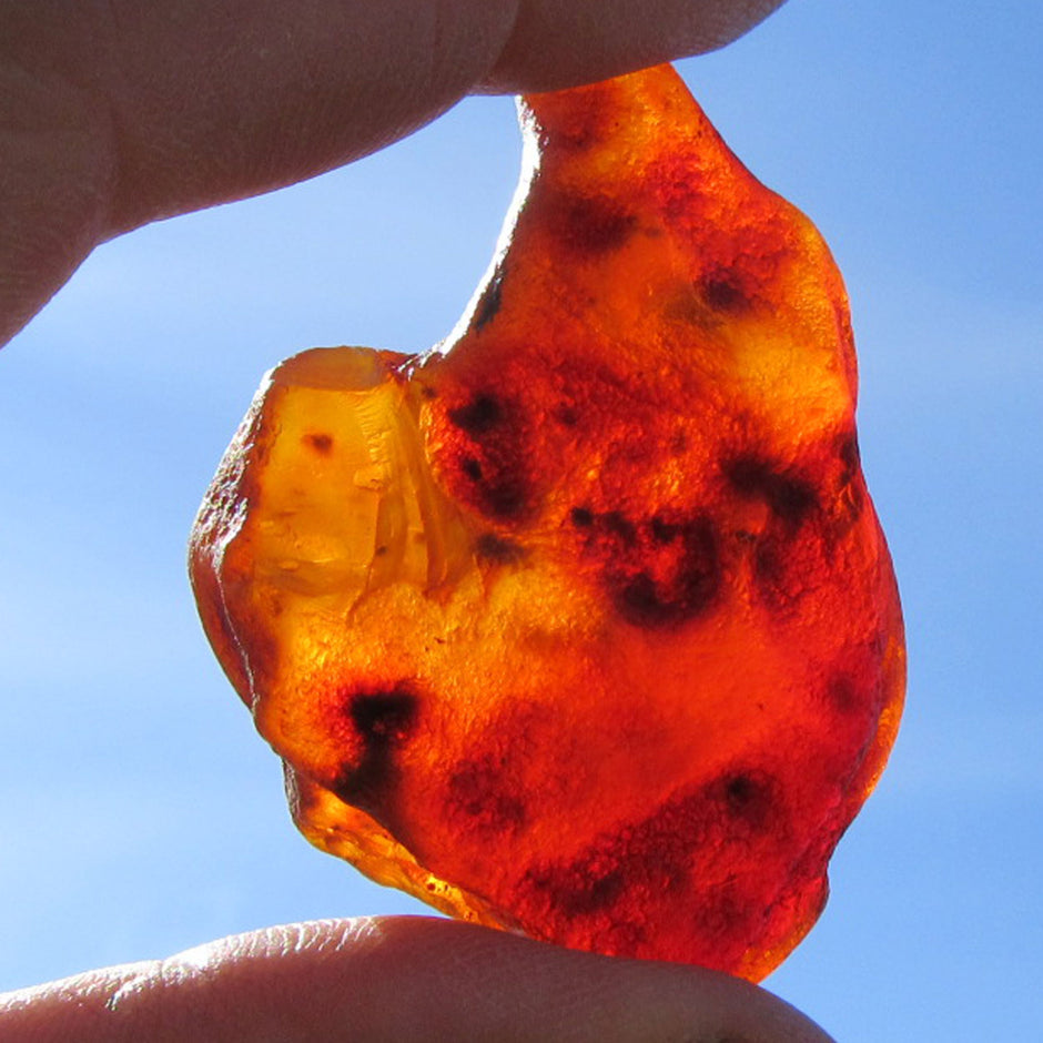 Dunkler Bernstein unpoliert, Naturstück von Hiddensee