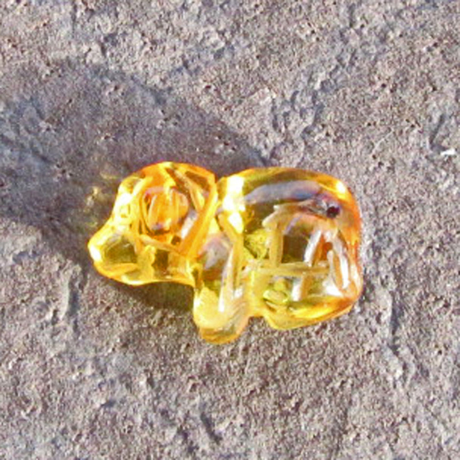 Welpe aus Bernstein – ein Unikat von der Ostsee-Insel Rügen