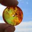 Kognacfarbener Bernsteindonut, poliert, Unikat