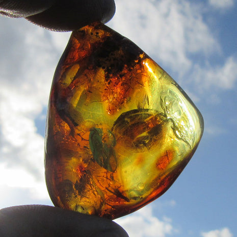 Einzigartiges, poliertes Bernsteinstück von Rügen