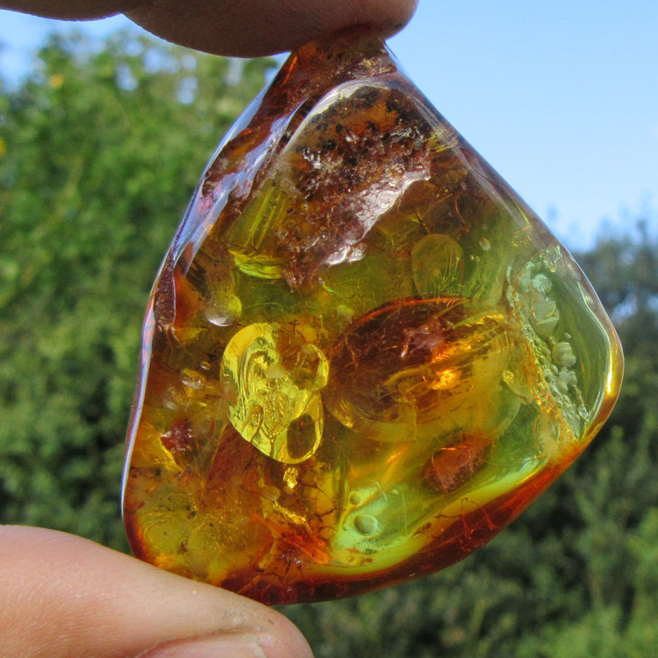 Einzigartiges, poliertes Bernsteinstück von Rügen